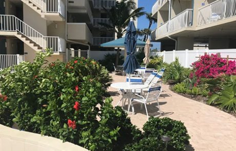 Garden Patio with chairs and umbrellas around