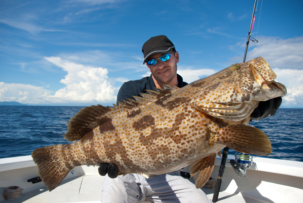 Photo of a Man Holding a Giant Fish on One of the Best Madeira Beach Fishing Charters.