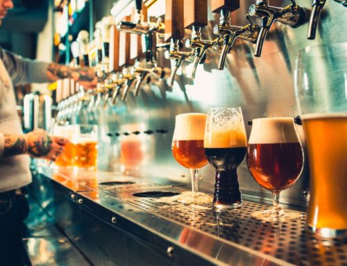 Best Brews in Madeira Beach || Top Area Breweries